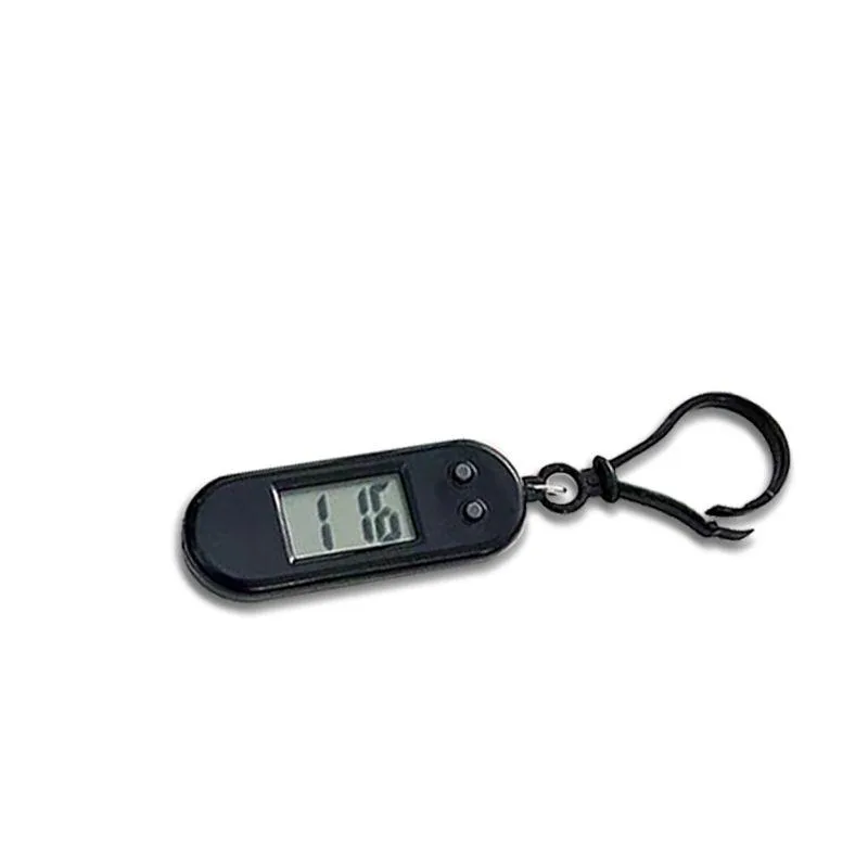 Keychain Digital Timer model LW552